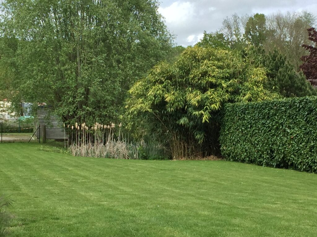 Gîte Les Petits Princes à Emancé - Côté jardin 1